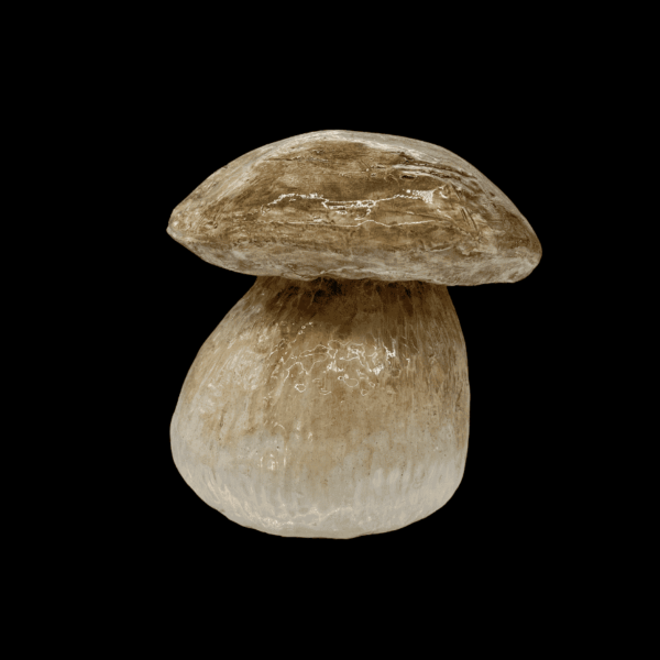 Urne funéraire champignon