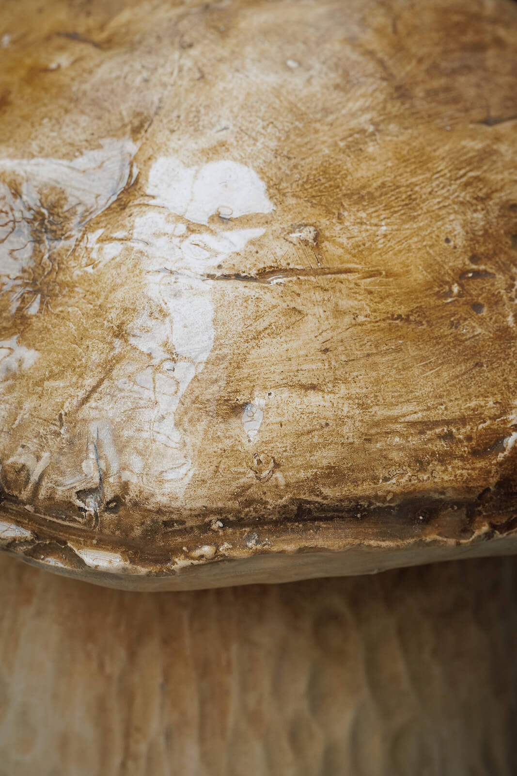 detail urne champignon