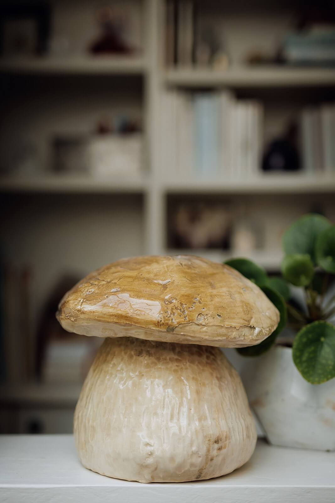 urne champignon